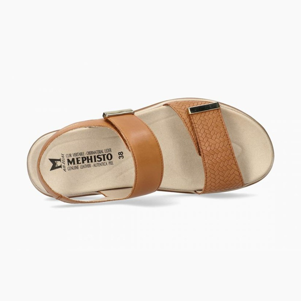 Mephisto Dominica Sandaler Dame Brune | 523864NAE