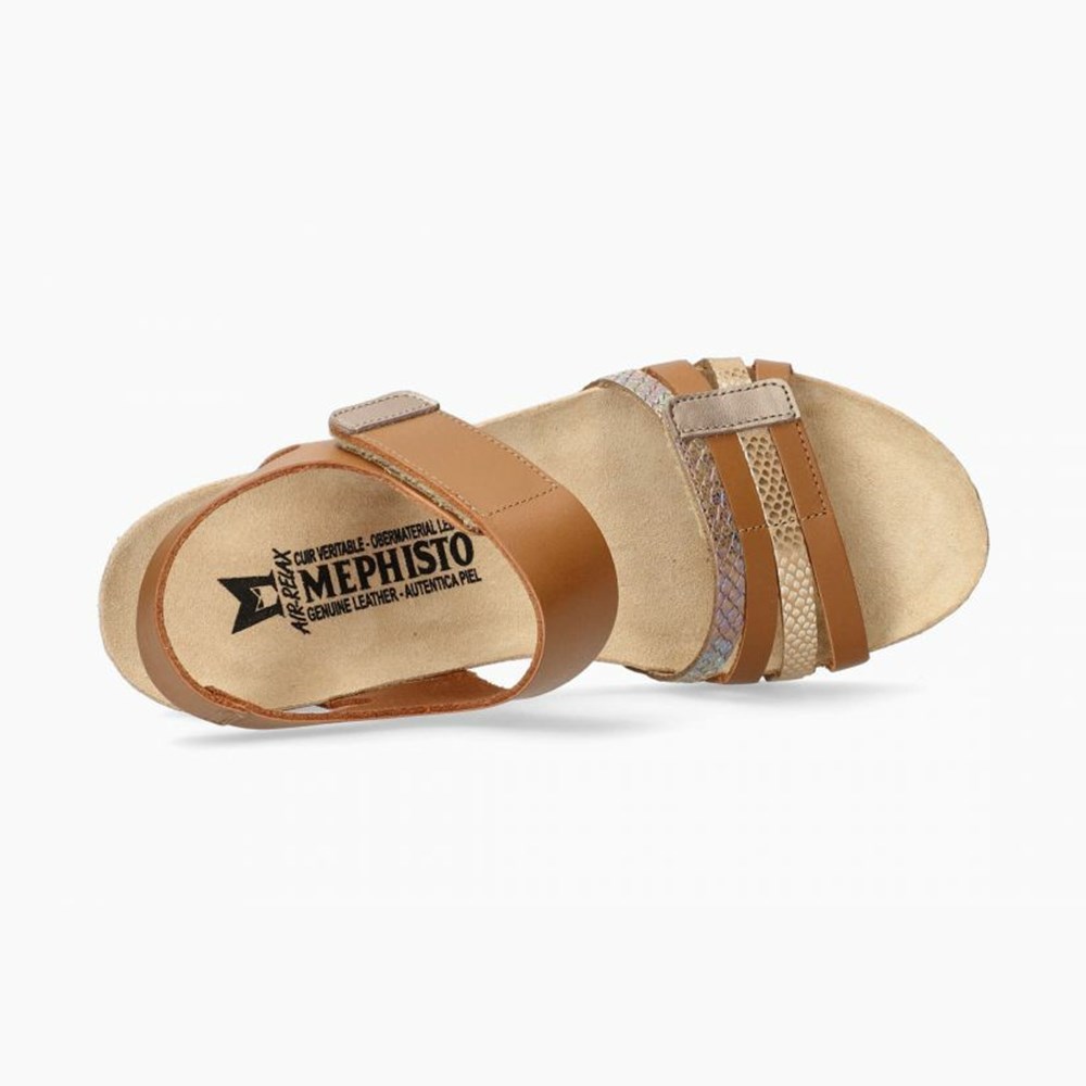 Mephisto Lucia Sandaler Dame Brune | 457821WXT