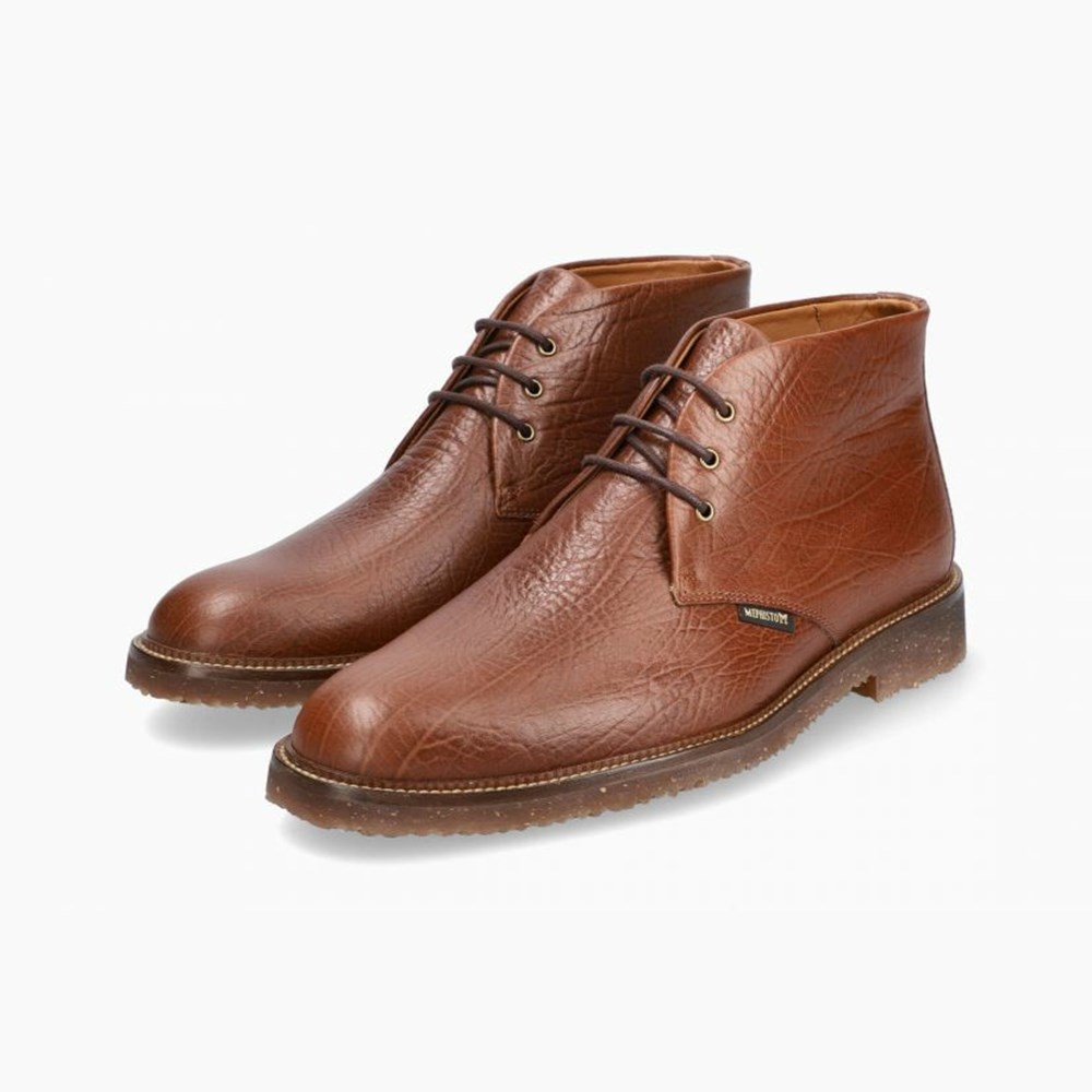 Mephisto Polo Ankelstøvler Herre Brune | 206938GJT