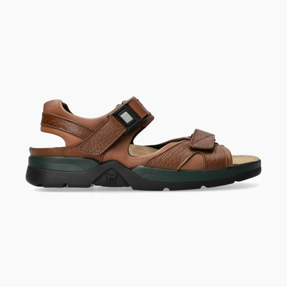 Mephisto Shark Fit Sandaler Herre Brune | 316859ZYS